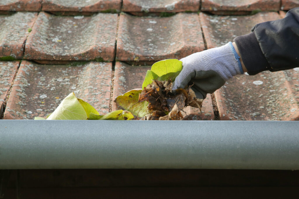 Hand clearing gutter of leaves